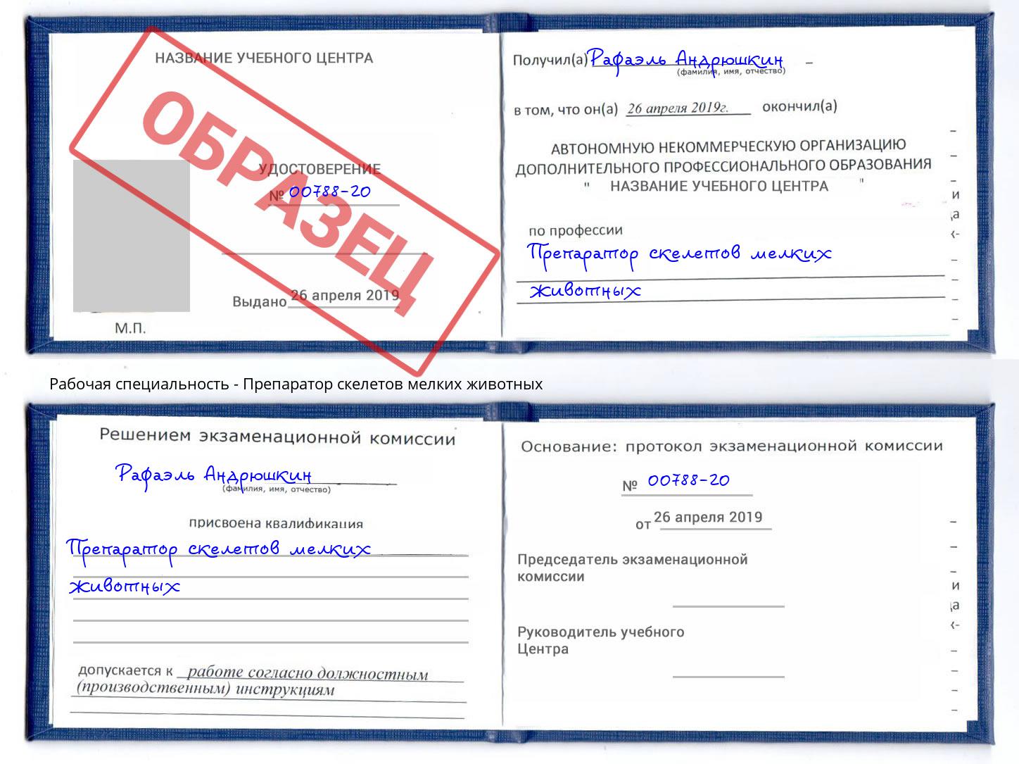 Препаратор скелетов мелких животных Чебоксары