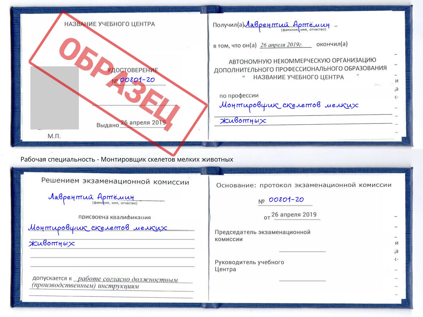 Монтировщик скелетов мелких животных Чебоксары