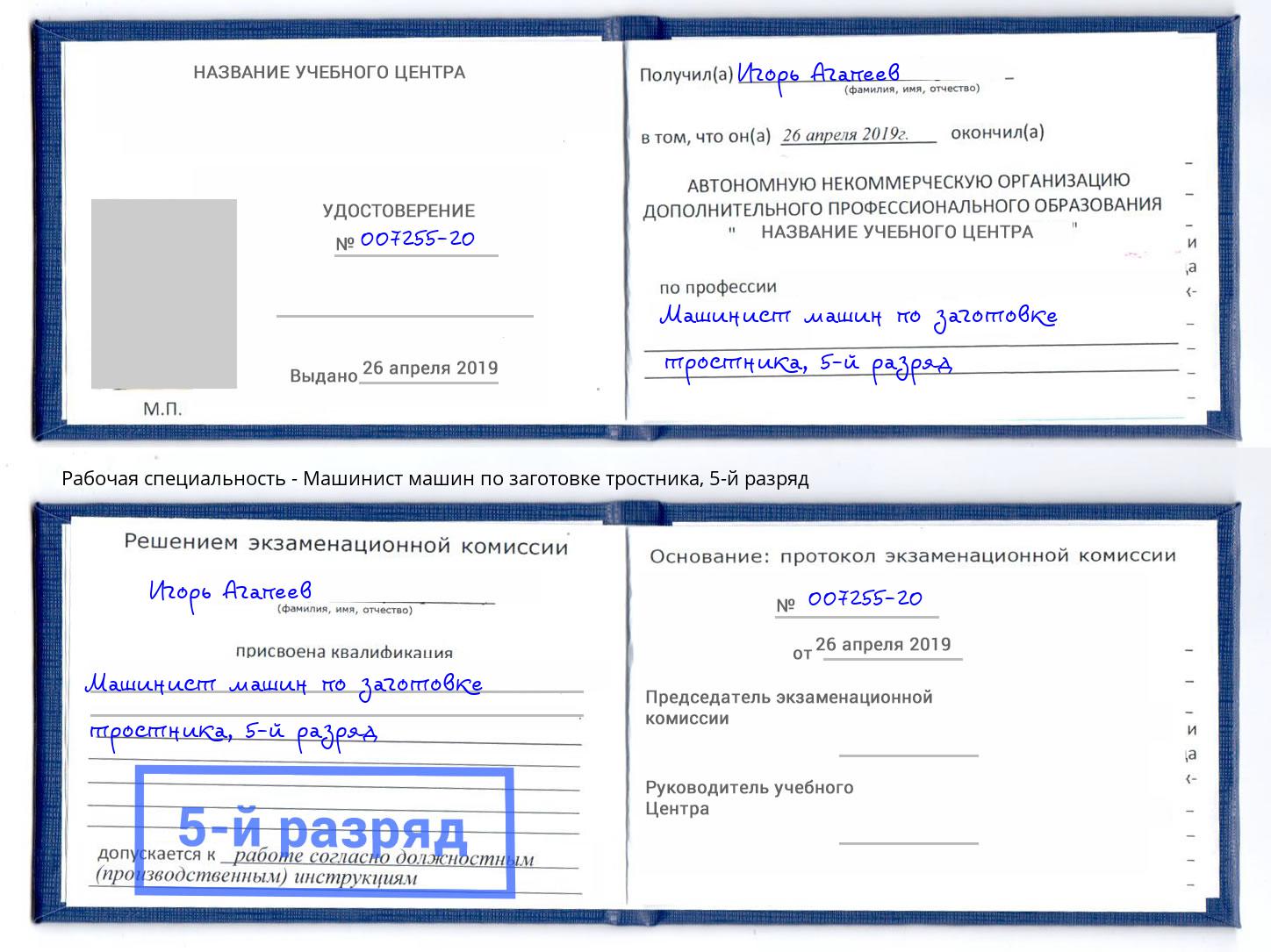 корочка 5-й разряд Машинист машин по заготовке тростника Чебоксары